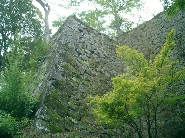岡城の石垣