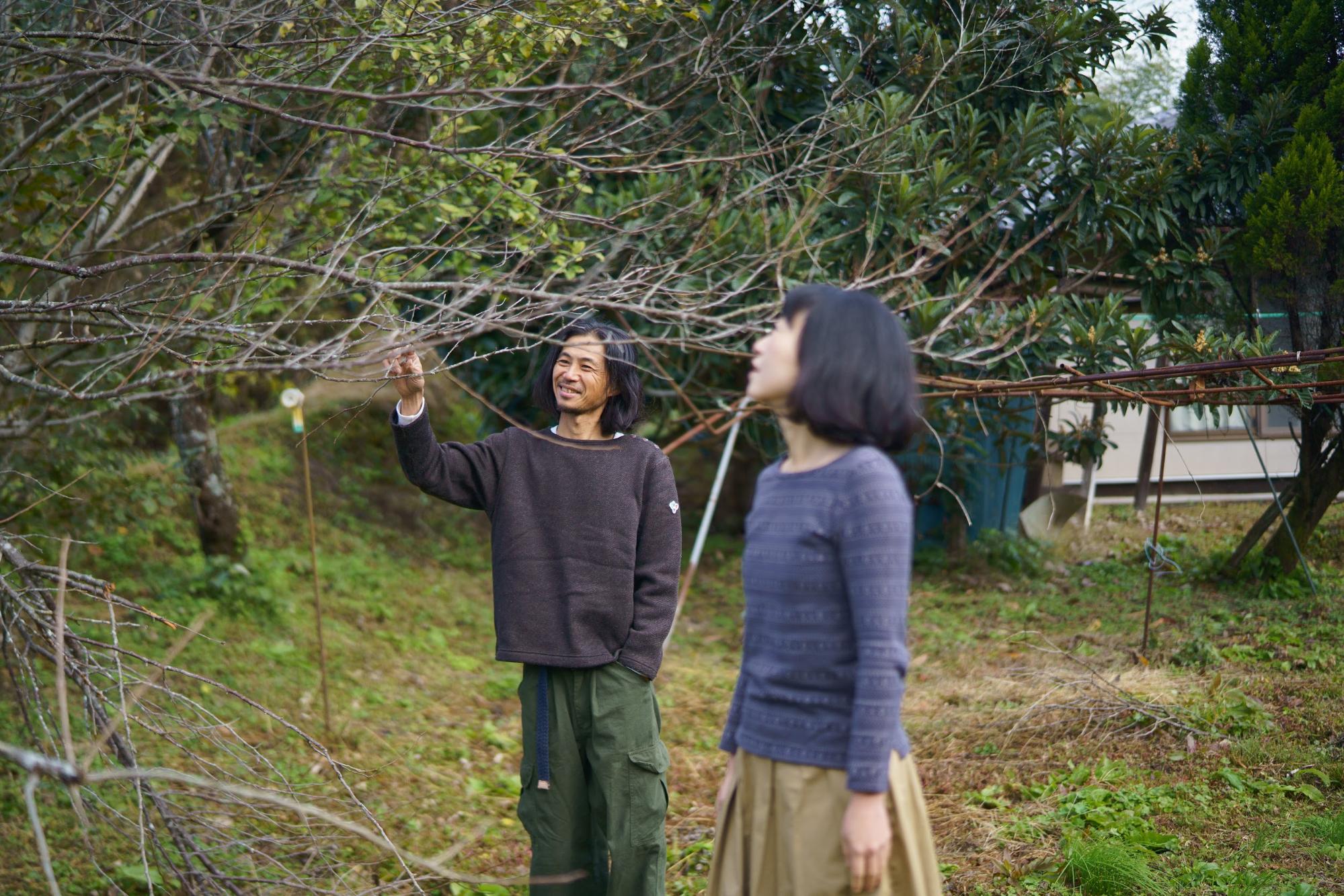 移住を決意させた梅の木の下で