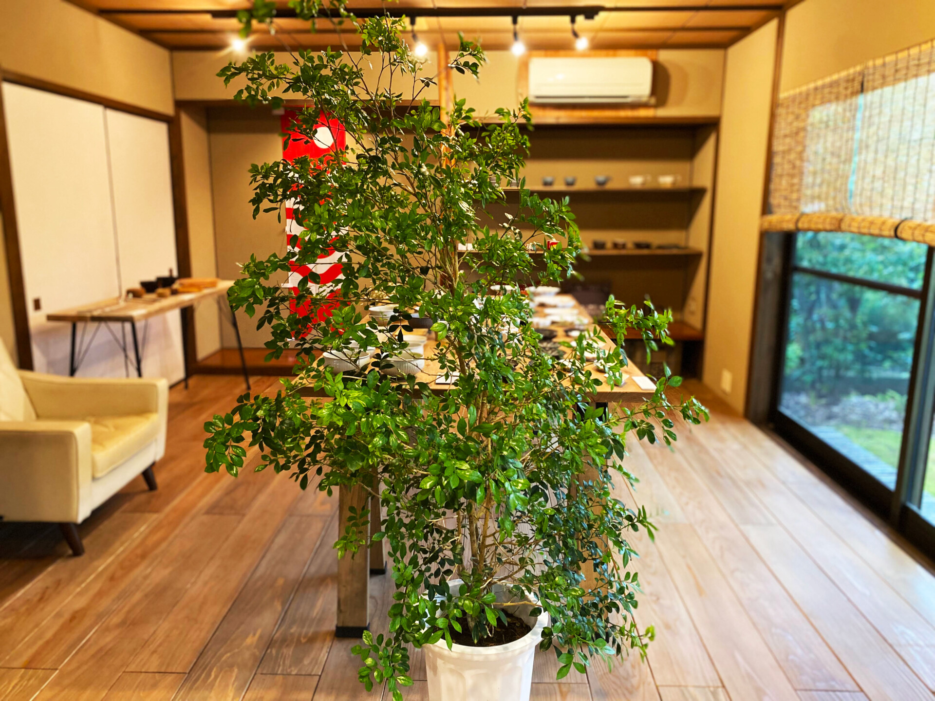 日本有数の観光地「湯布院」に感銘を受けて移住。家族とゆったり暮らすライフスタイルを実現。